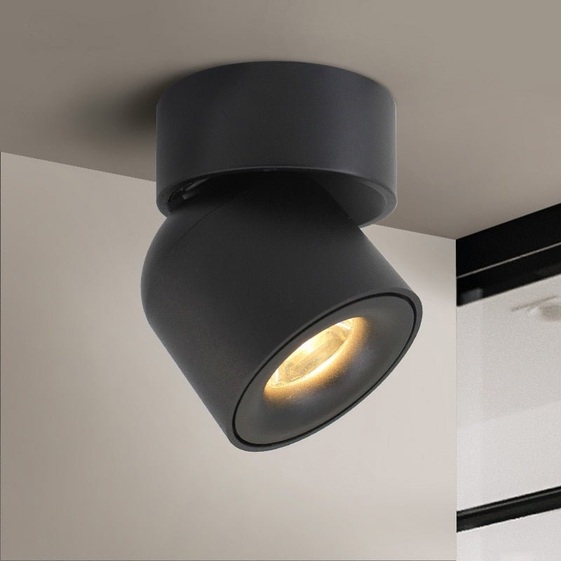 Rotating Cylinder Ceiling Spotlight – Directional Task & Accent Lighting for Kitchen, Living Room & Hallway | Thomler