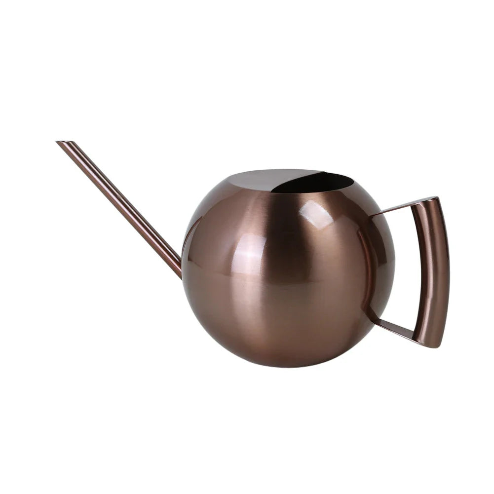 Watering Can Stainless Steel 11 in Indoor Plant Care Precise Pouring Home Garden Tool Durable Minimalist Design | Thomler