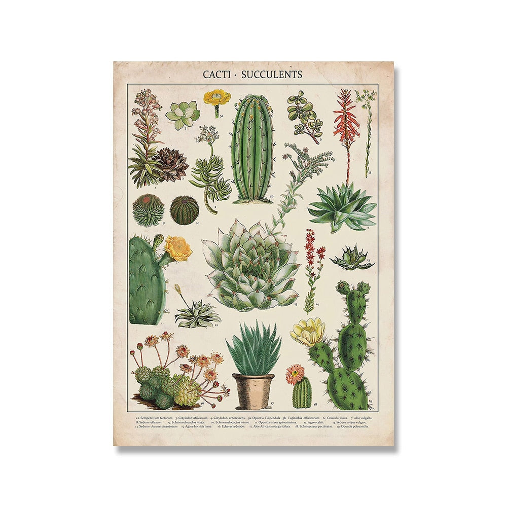Framed Nature Illustration Canvas Prints – Classic Plant & Flower Wall Art for Living Room, Bedroom, Home Office Décor | Thomler