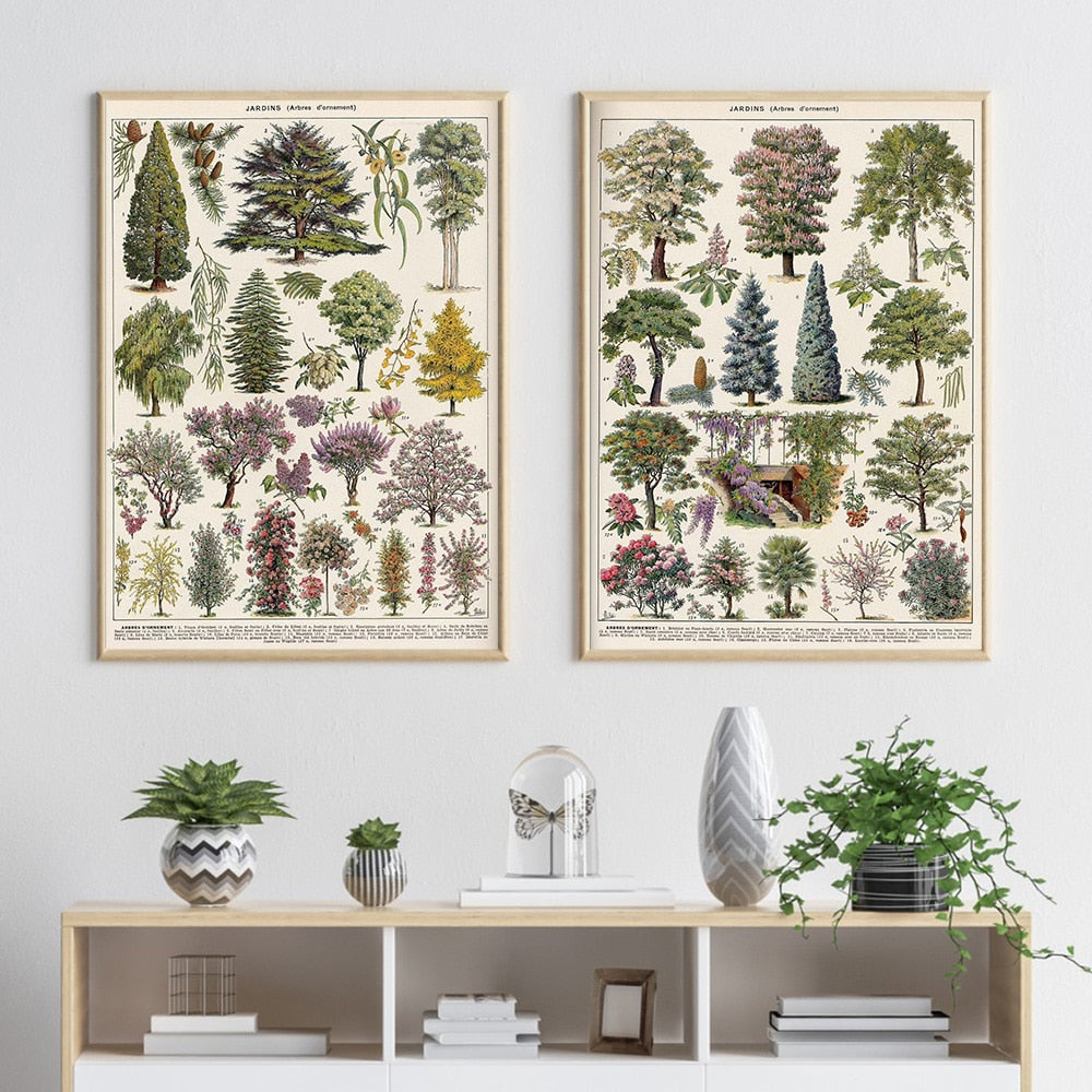Framed Nature Illustration Canvas Prints – Classic Plant & Flower Wall Art for Living Room, Bedroom, Home Office Décor | Thomler