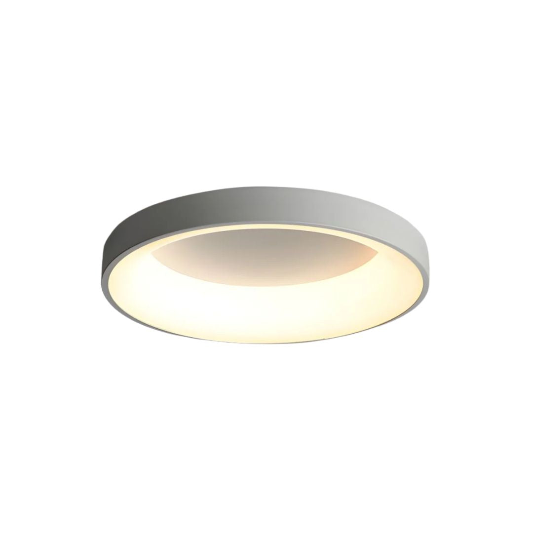 Ceiling Light Iron Acrylic LED Flush Mount Low Ceiling Bedroom Hallway Living Room Modern Round Lighting Fixture | Thomler