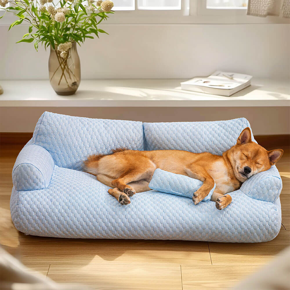Sofa-Style Dog Bed with Temperature-Regulating Fabric for Summer Comfort | Thomler