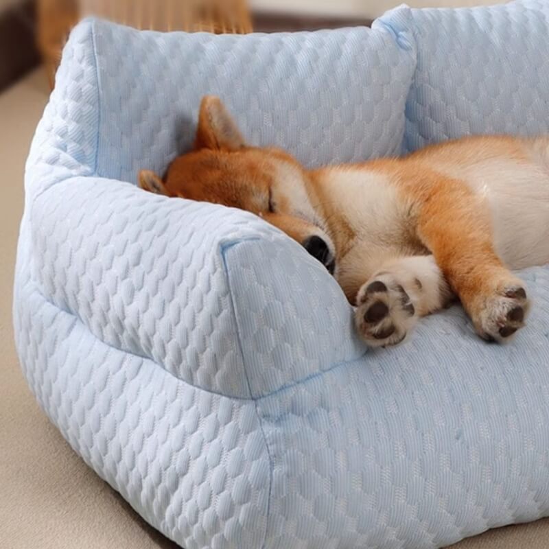 Sofa-Style Dog Bed with Temperature-Regulating Fabric for Summer Comfort | Thomler