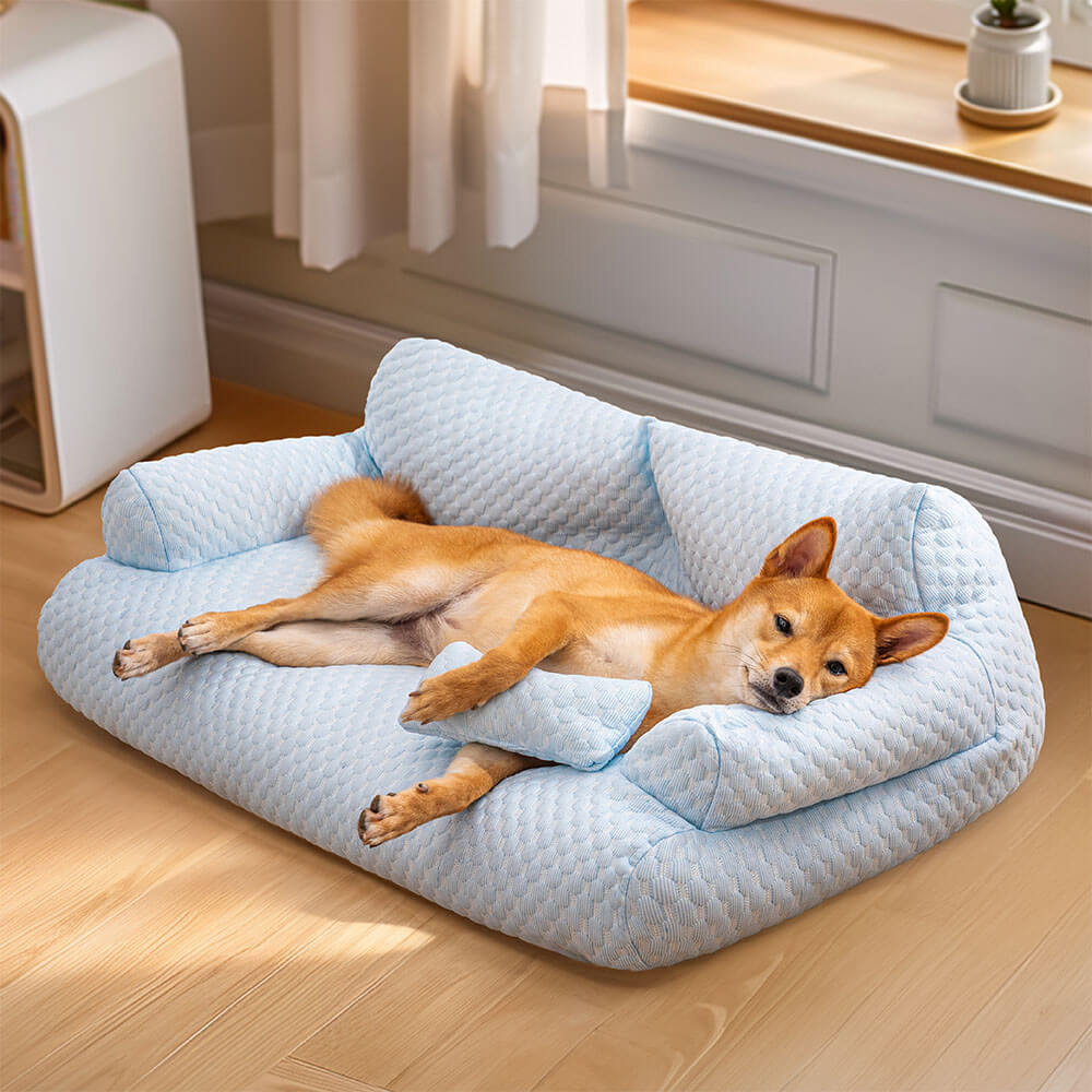 Sofa-Style Dog Bed with Temperature-Regulating Fabric for Summer Comfort | Thomler