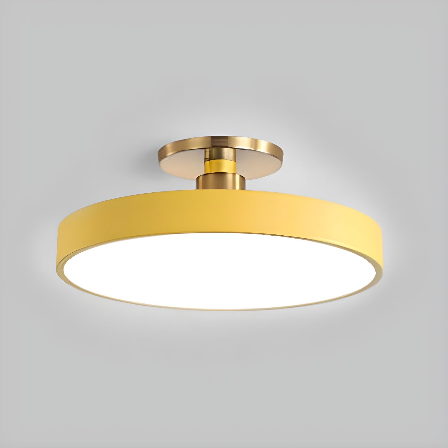 Metal Flush Mount Ceiling Light 11.8 in Warm Ambient Indoor Dining Living Room Office LED | Thomler