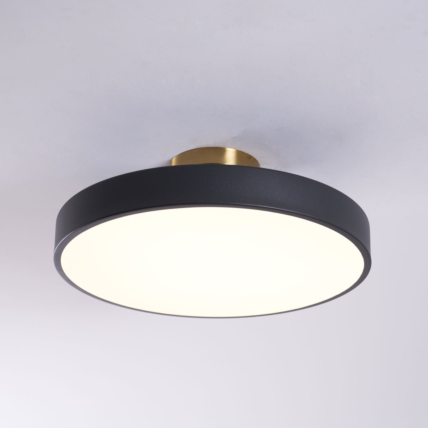 Metal Flush Mount Ceiling Light 11.8 in Warm Ambient Indoor Dining Living Room Office LED | Thomler