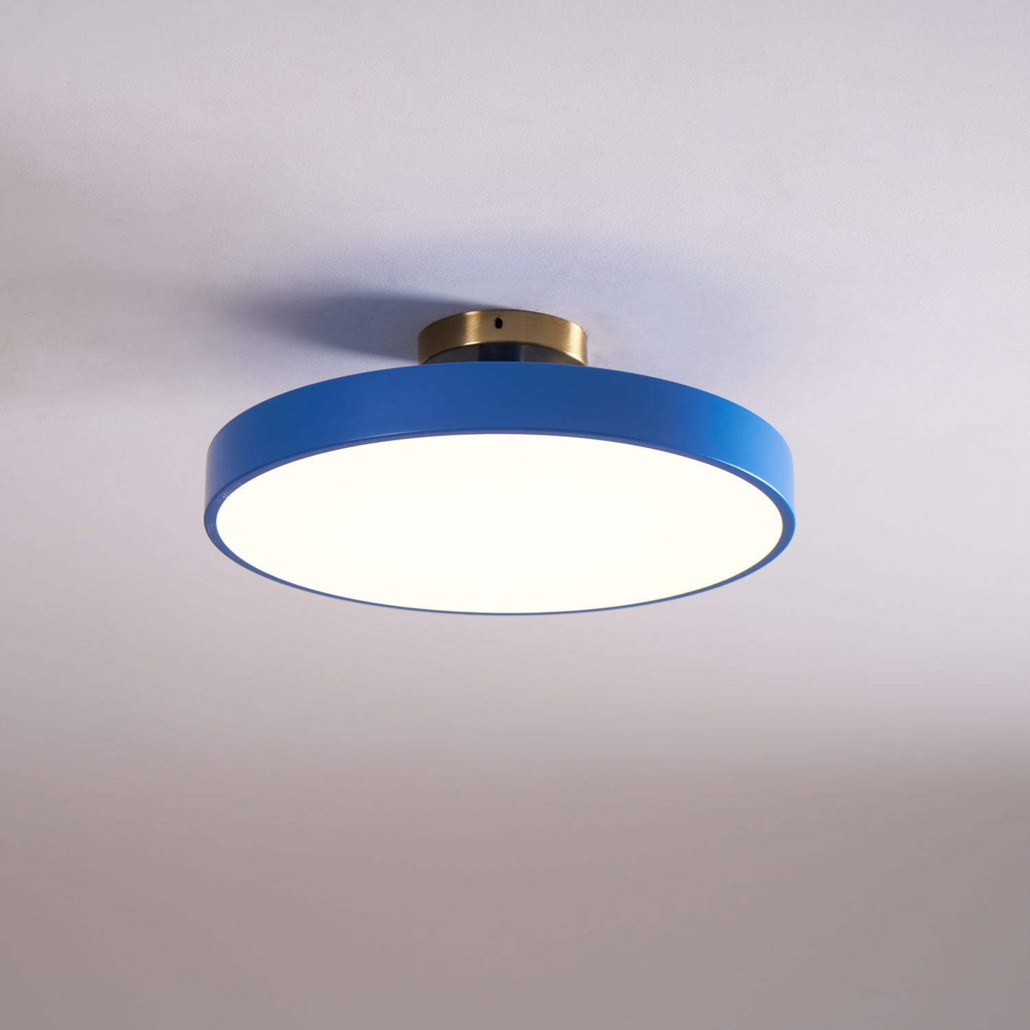 Metal Flush Mount Ceiling Light 11.8 in Warm Ambient Indoor Dining Living Room Office LED | Thomler