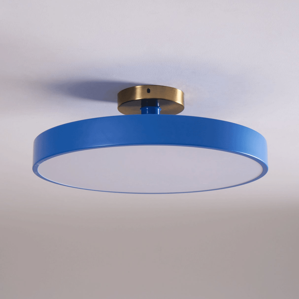 Metal Flush Mount Ceiling Light 11.8 in Warm Ambient Indoor Dining Living Room Office LED | Thomler