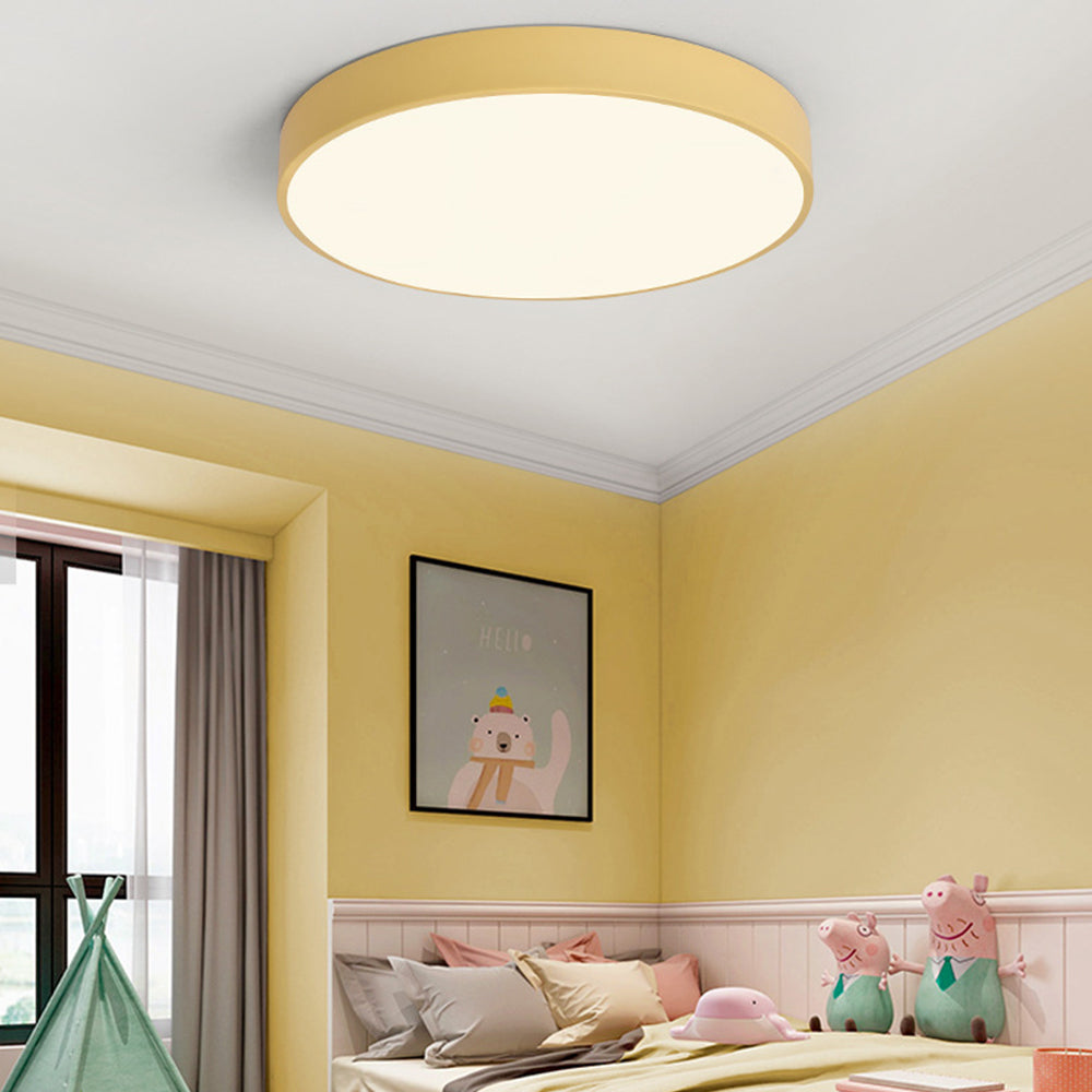 Ceiling Light Acrylic LED 22.0 cm 60.0 cm Nordic Living Room Bedroom Flush Mount Dimmable Round Lamp | Thomler