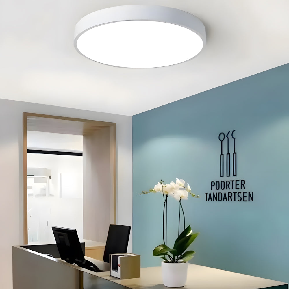 Ceiling Light Acrylic Extra-Thin 15.8 in Indoor Modern Circular LED Lighting Bedroom Dining Room Living Room | Thomler