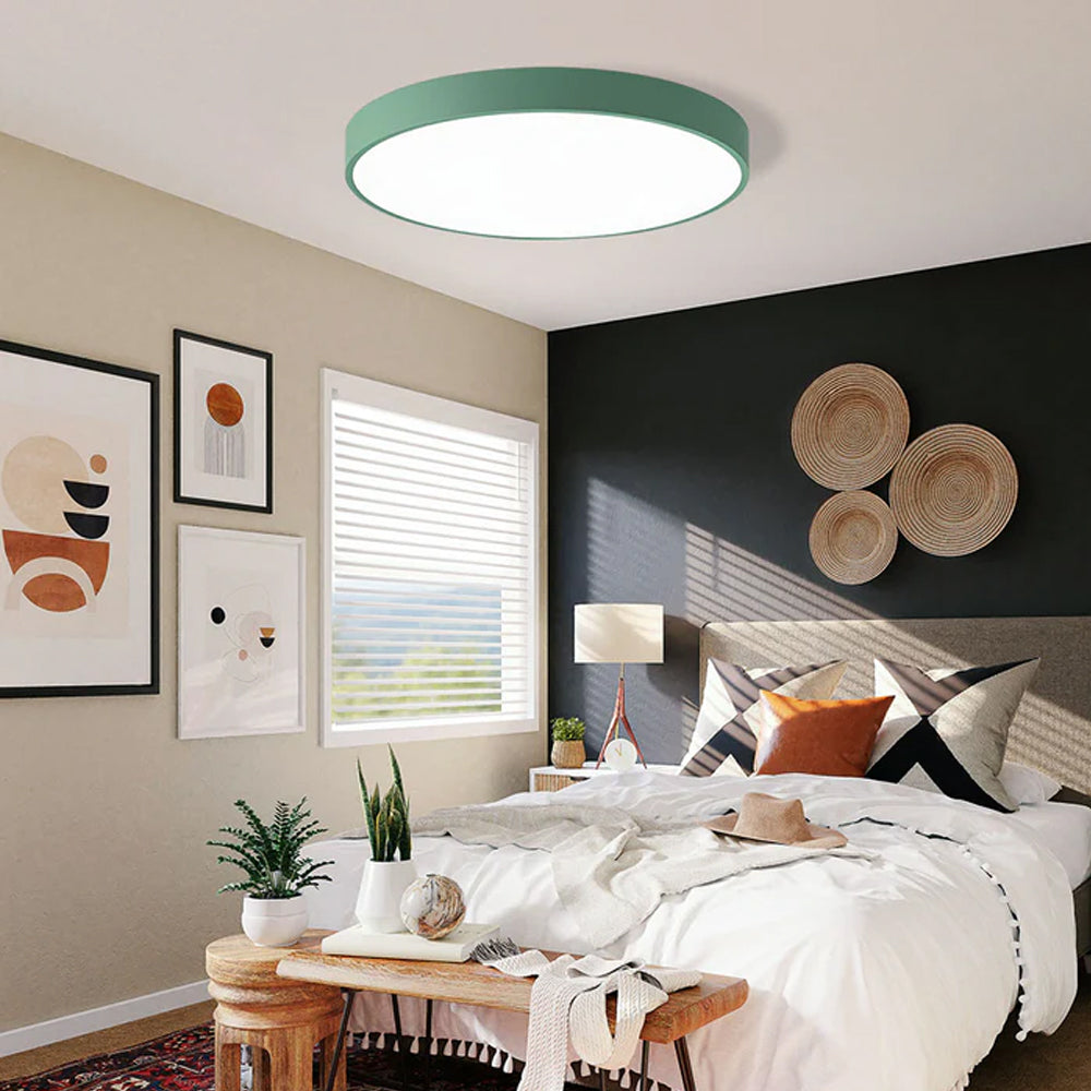 Ceiling Light Acrylic LED 22.0 cm 60.0 cm Nordic Living Room Bedroom Flush Mount Dimmable Round Lamp | Thomler