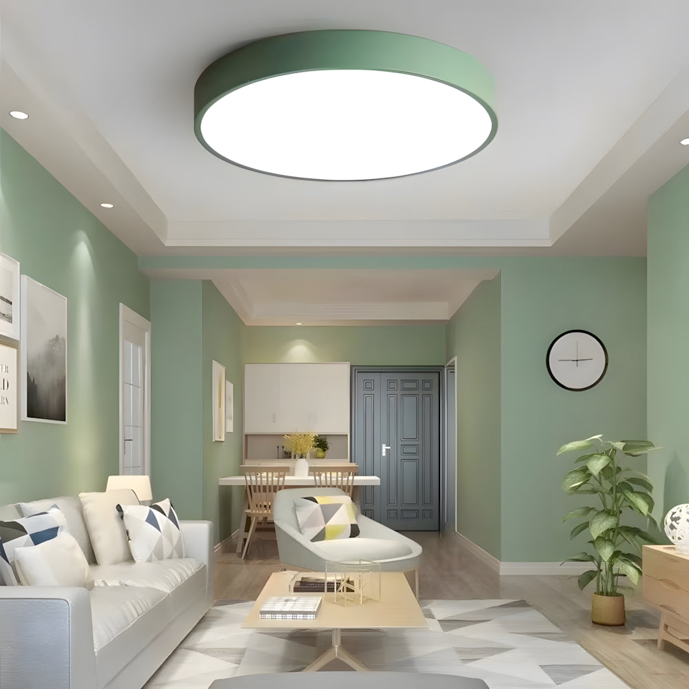 Ceiling Light Acrylic LED 22.0 cm 60.0 cm Nordic Living Room Bedroom Flush Mount Dimmable Round Lamp | Thomler
