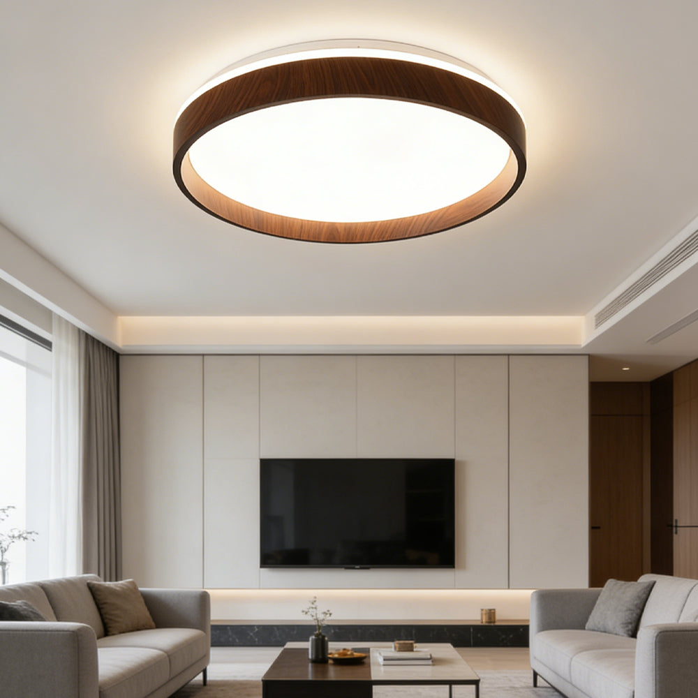 Ceiling Light Acrylic Round 15.7 in 2.8 in Indoor Bedroom Living Room LED Modern Minimalist Flush Mount Fixture | Thomler