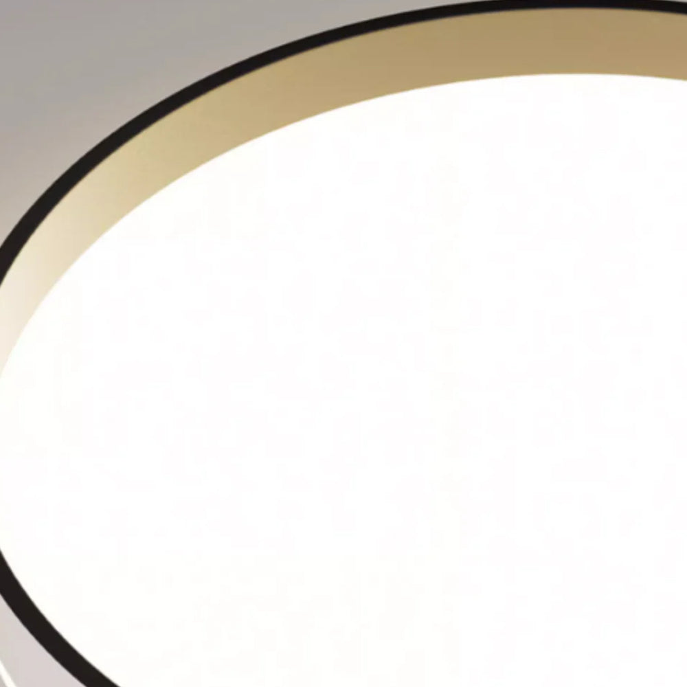 Ceiling Light Acrylic Round 15.7 in 2.8 in Indoor Bedroom Living Room LED Modern Minimalist Flush Mount Fixture | Thomler