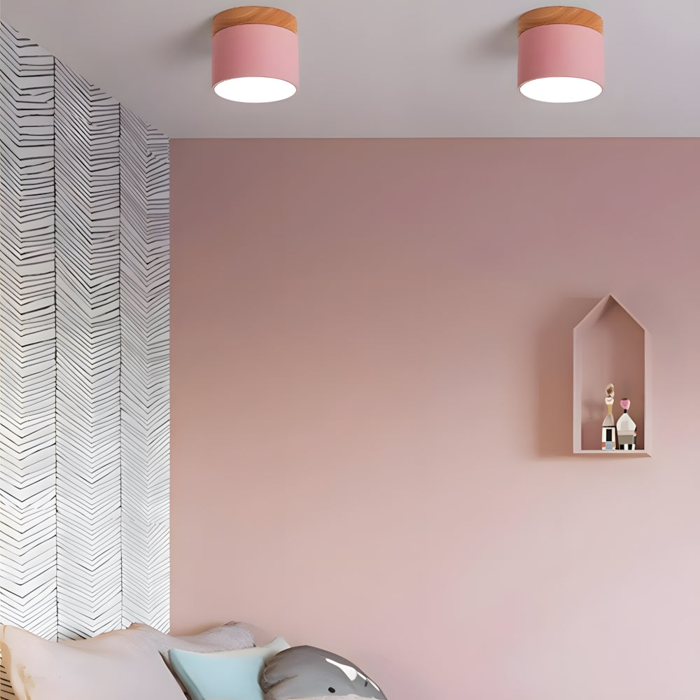 Ceiling Light Aluminum Mini Cylinder 2.8 in x 2.4 in Indoor Hallway Living Room Bedroom Modern Lighting | Thomler