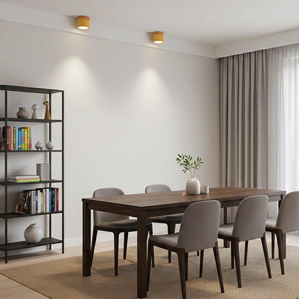 Ceiling Light Aluminum Mini Cylinder 2.8 in x 2.4 in Indoor Hallway Living Room Bedroom Modern Lighting | Thomler