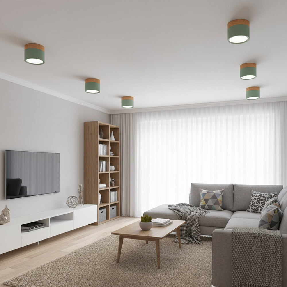 Ceiling Light Aluminum Mini Cylinder 2.8 in x 2.4 in Indoor Hallway Living Room Bedroom Modern Lighting | Thomler