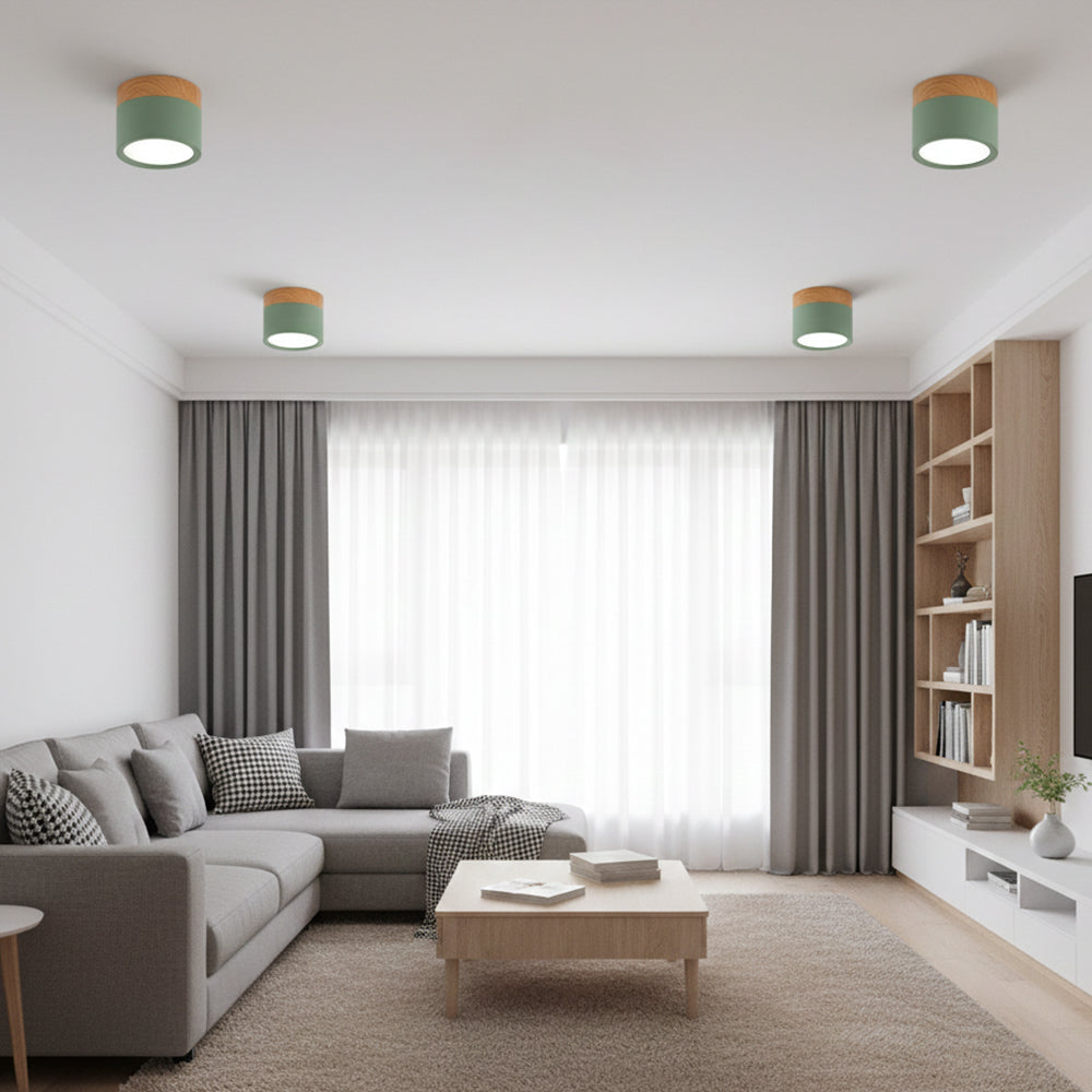Ceiling Light Aluminum Mini Cylinder 2.8 in x 2.4 in Indoor Hallway Living Room Bedroom Modern Lighting | Thomler