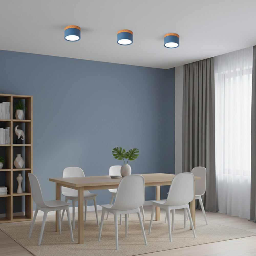 Ceiling Light Aluminum Mini Cylinder 2.8 in x 2.4 in Indoor Hallway Living Room Bedroom Modern Lighting | Thomler