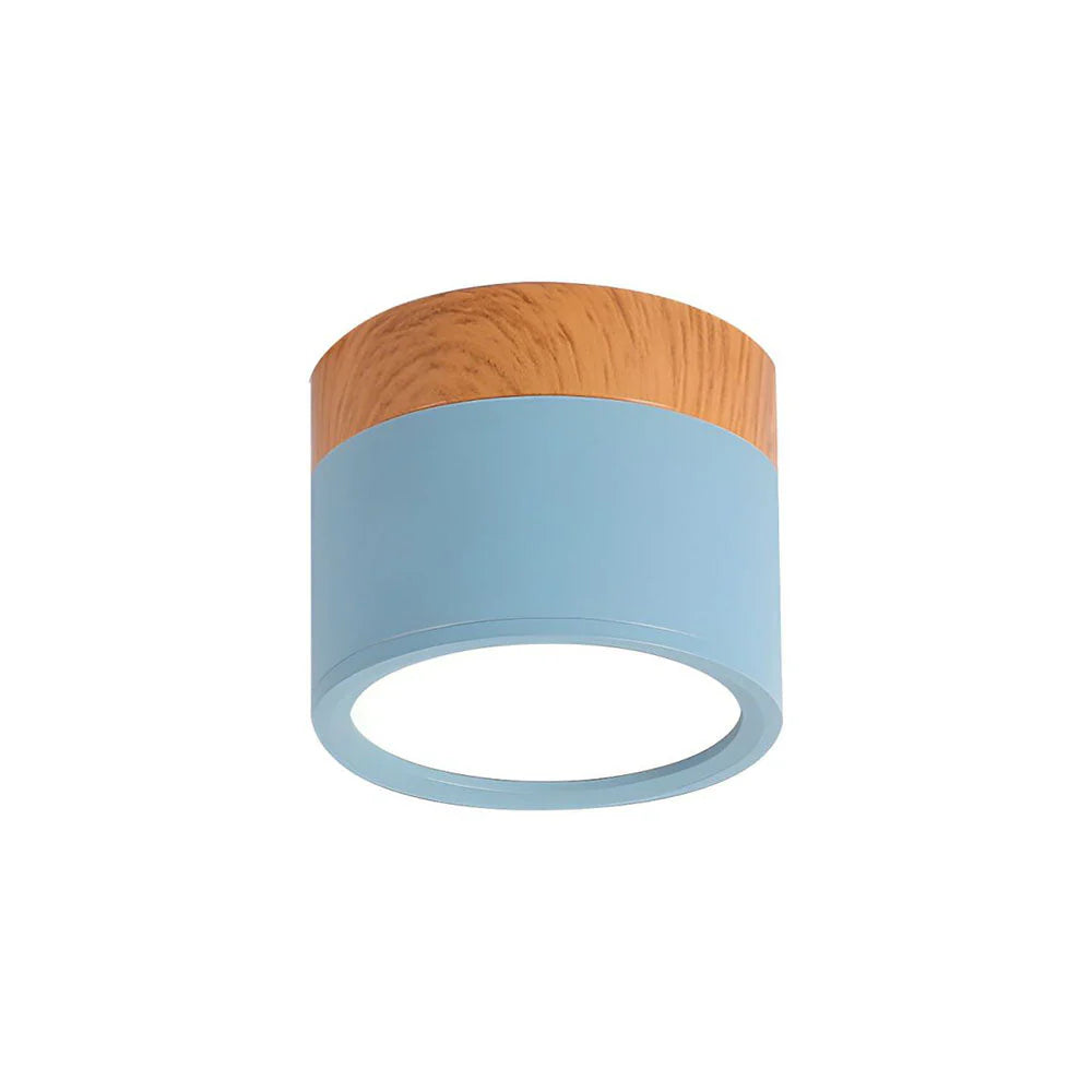 Ceiling Light Aluminum Mini Cylinder 2.8 in x 2.4 in Indoor Hallway Living Room Bedroom Modern Lighting | Thomler