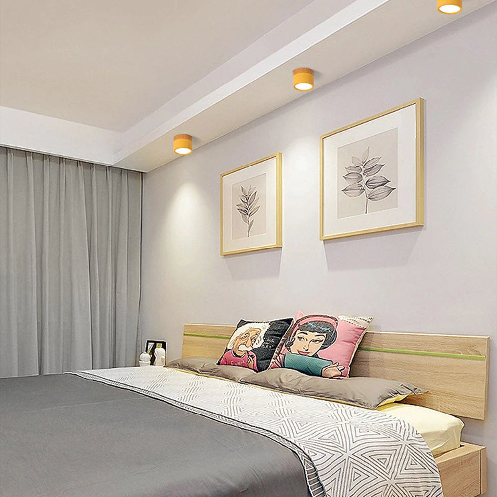 Ceiling Light Aluminum Mini Cylinder 2.8 in x 2.4 in Indoor Hallway Living Room Bedroom Modern Lighting | Thomler