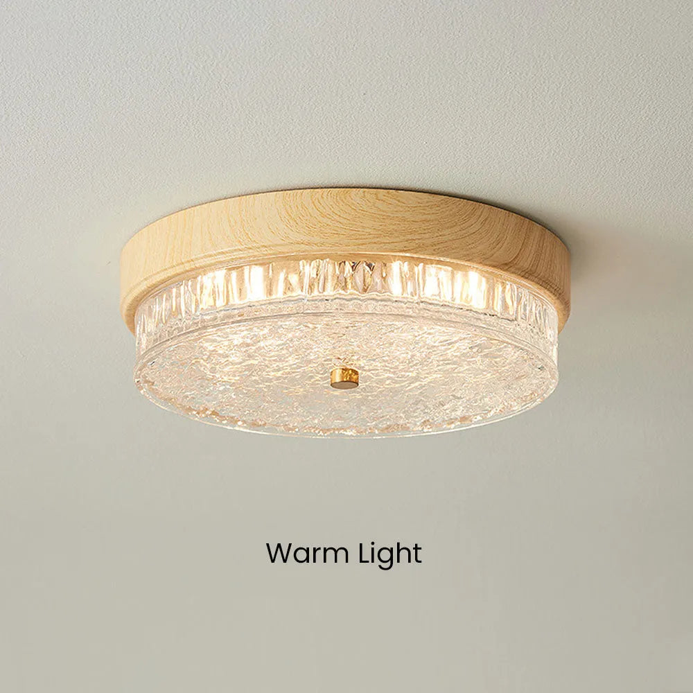Ceiling Light Glass LED 12.6 in Indoor Bedroom Living Room Dining Room Modern Fixture | Thomler
