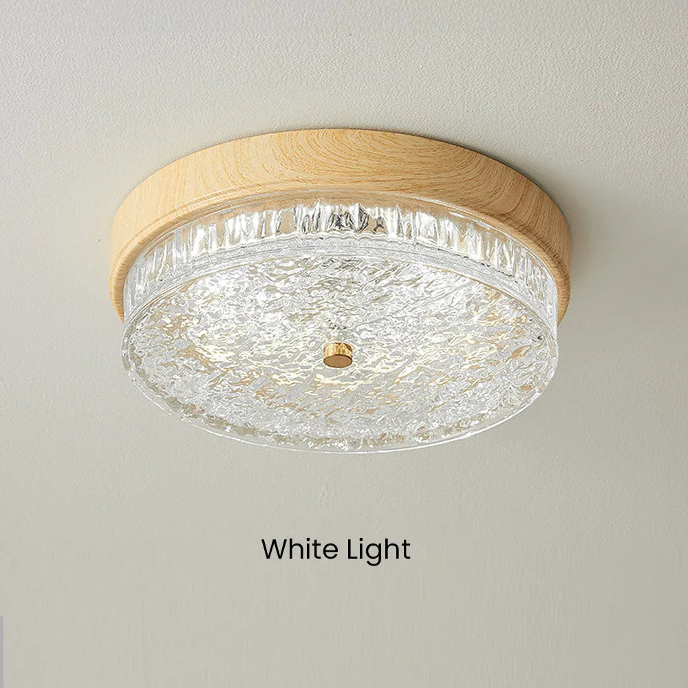 Ceiling Light Glass LED 12.6 in Indoor Bedroom Living Room Dining Room Modern Fixture | Thomler