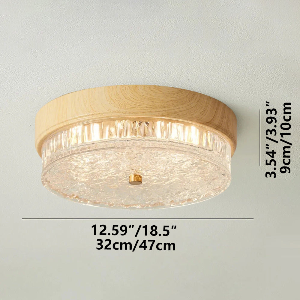 Ceiling Light Glass LED 12.6 in Indoor Bedroom Living Room Dining Room Modern Fixture | Thomler