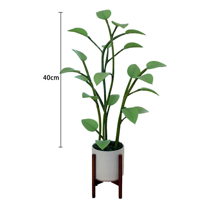 Color-Changing LED Plant Night Light for Bedroom, Living Room & Office – USB Powered Decorative Botanical Lamp with Auto Cycle Lighting | Thomler