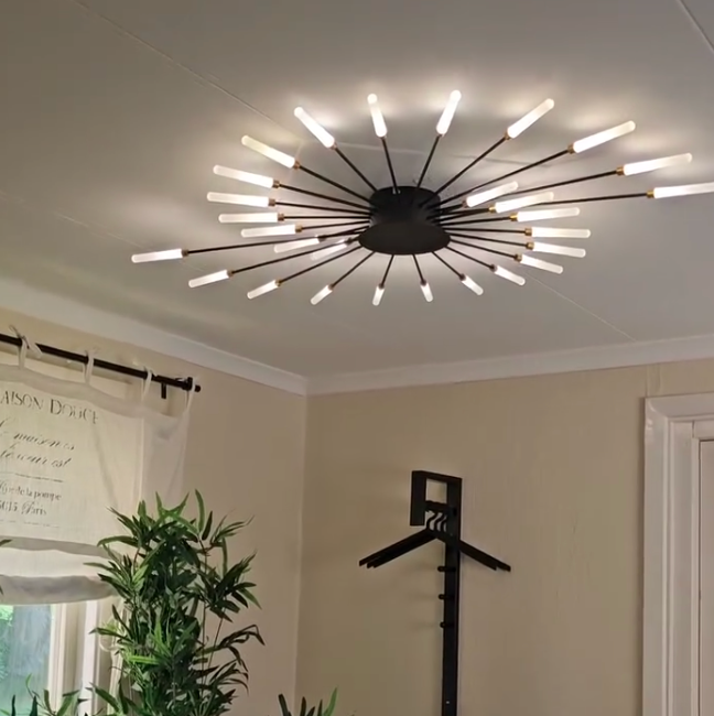 Starburst Flush Mount Ceiling Light Black Gold Modern Firework LED Fixture Bedroom Living Room Natural White Hardwired Indoor | Thomler