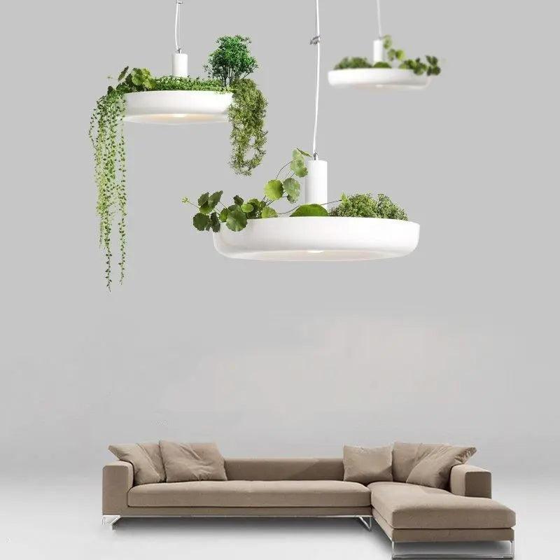 Hanging Planter Light with Built-In Pot for Indoor Plants, Succulents & Herbs, Modern Pendant Ceiling Fixture for Kitchen, Living Room & Din | Thomler