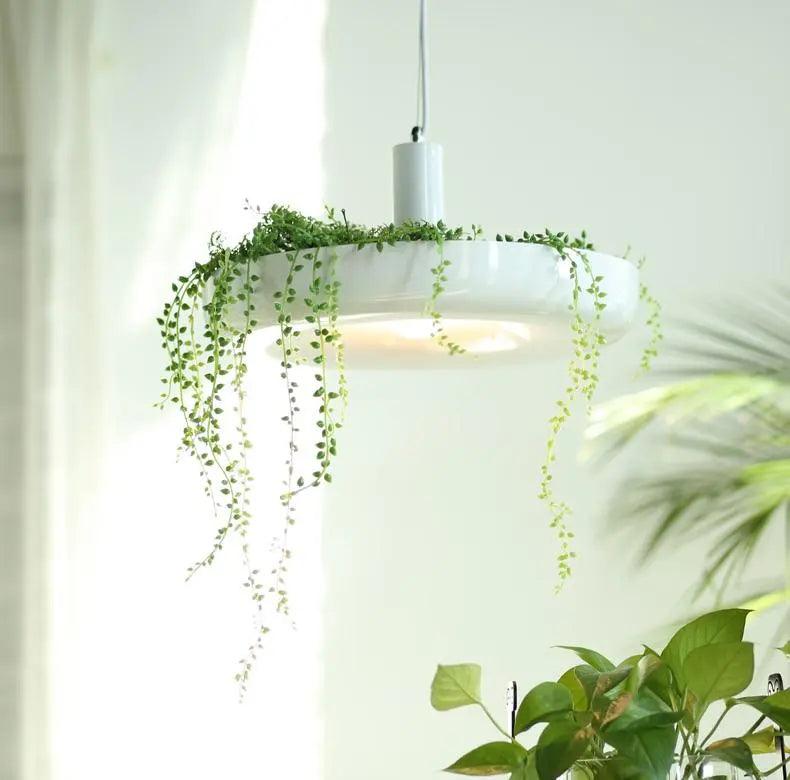 Hanging Planter Light with Built-In Pot for Indoor Plants, Succulents & Herbs, Modern Pendant Ceiling Fixture for Kitchen, Living Room & Din | Thomler