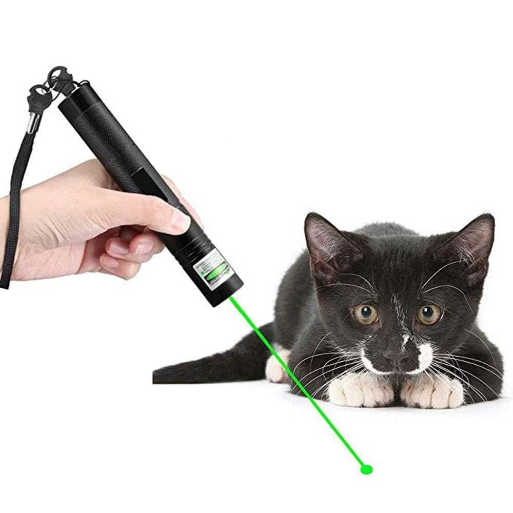High-Power Laser Presentation Pointer for Meetings, Lectures & Outdoor Use – Precision Beam, Compact Design, Aviation Aluminum Body | Thomler
