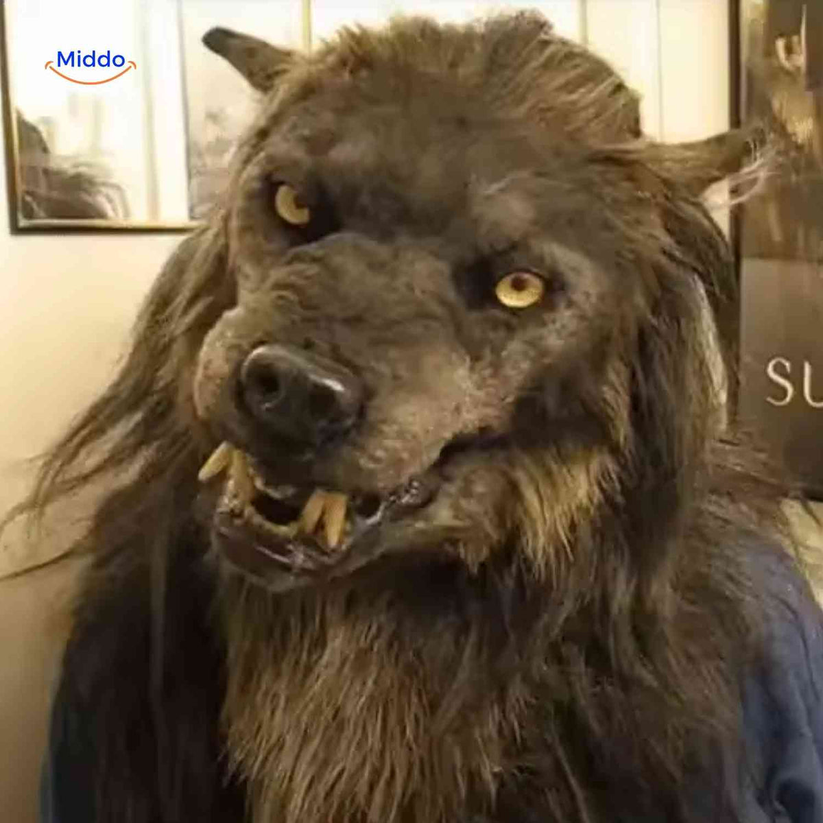 Werewolf Head Mask with Glow Effect – Realistic Latex Horror Mask for Halloween Parties Costume Events Cosplay & Scary Decorations | Thomler