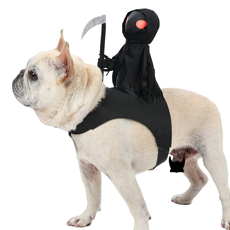 Dark Warrior Pet Halloween Outfit – Hooded Knight Dress-Up for Trick-or-Treat & Costume Contests | Thomler