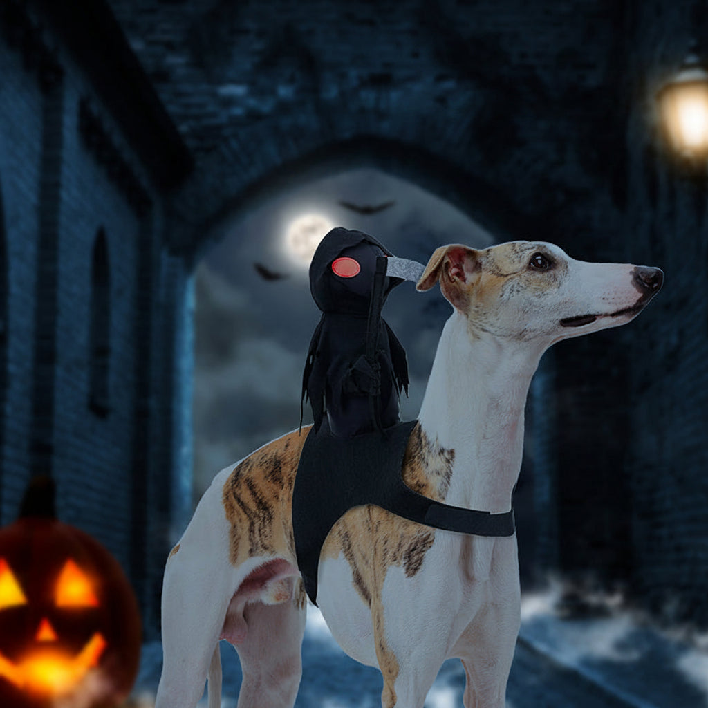 Dark Warrior Pet Halloween Outfit – Hooded Knight Dress-Up for Trick-or-Treat & Costume Contests | Thomler