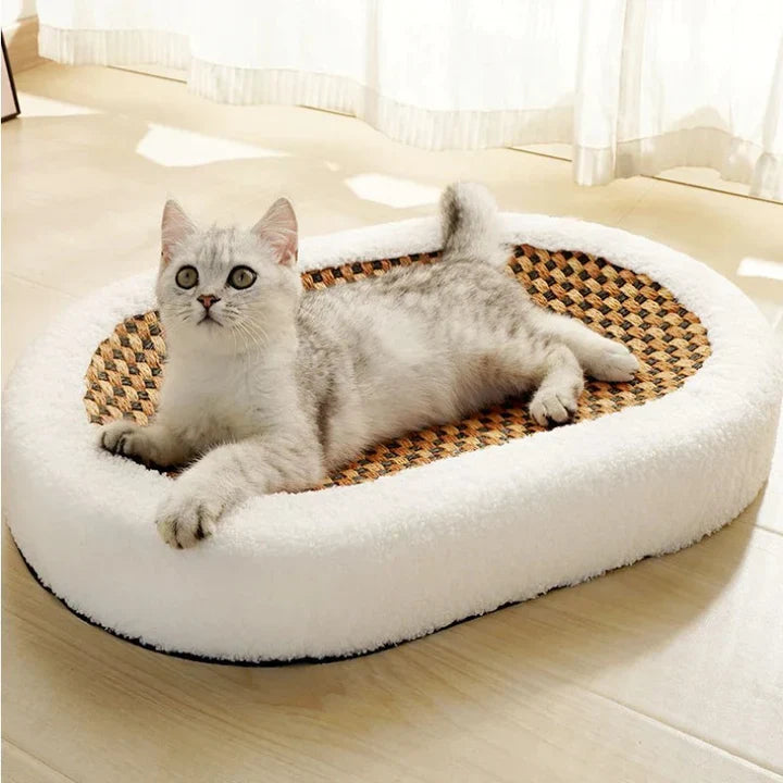 Cat Scratcher Bed with Plush Cushion and Scratch Surface for Indoor Cats, Cozy Lounge and Claw Pad Combo for Furniture Protection | Thomler