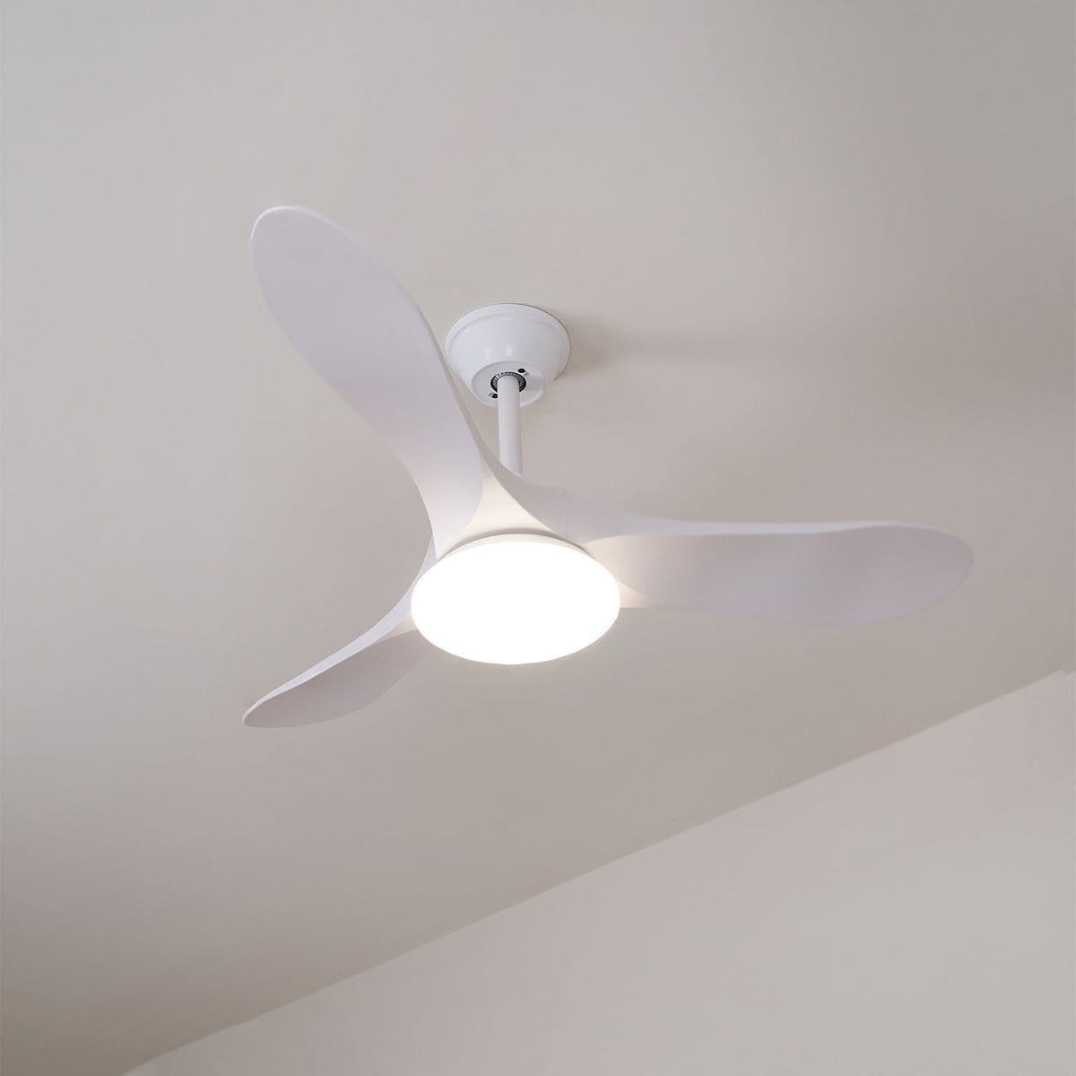 42 & 52 Inch Ceiling Fan with LED Light and Remote – 6-Speed Hardwired Ventilator for Bedroom and Living Room | Thomler