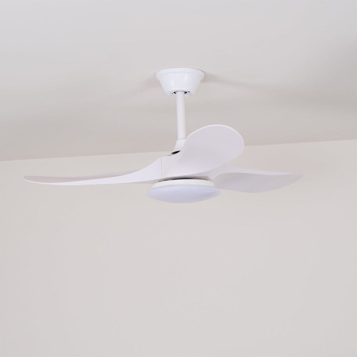 42 & 52 Inch Ceiling Fan with LED Light and Remote – 6-Speed Hardwired Ventilator for Bedroom and Living Room | Thomler