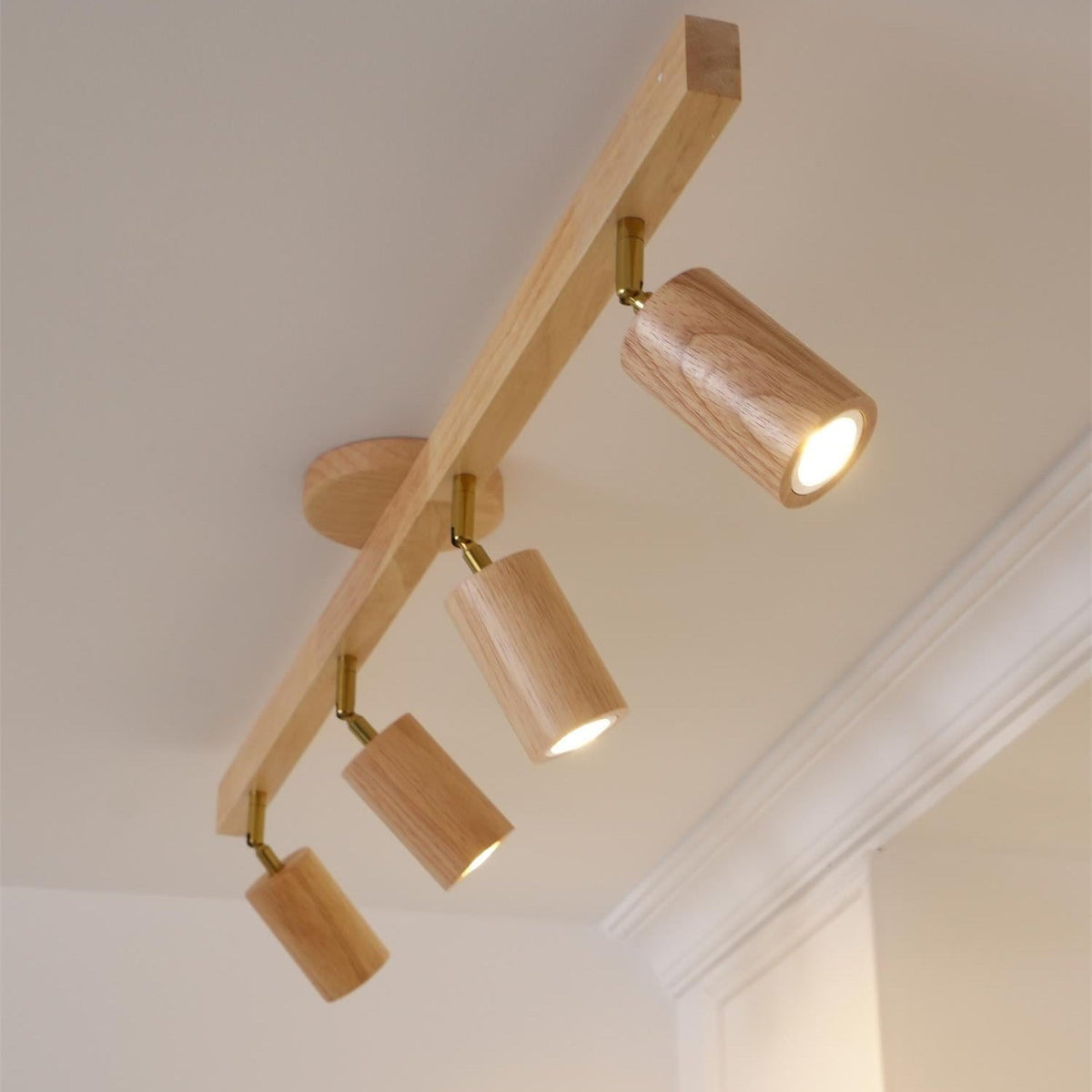 Adjustable Wooden Track Spotlight with Brass Accents for Modern Interior Accent Lighting | Thomler
