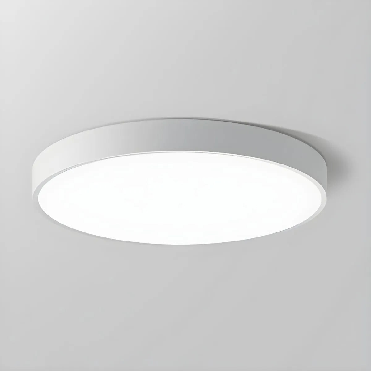 Round LED Ceiling Light Fixture Dimmable Modern Flush Mount for Living Room Bedroom Hallway Energy Efficient Lighting | Thomler