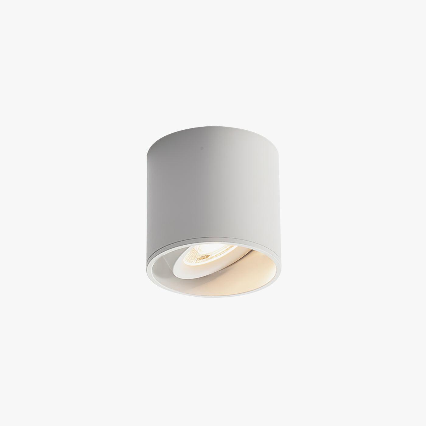 Metal Ceiling Light 3.1 in x 3.3 in White Indoor Modern Flush Mount LED Fixture Warm Neutral Cool | Thomler