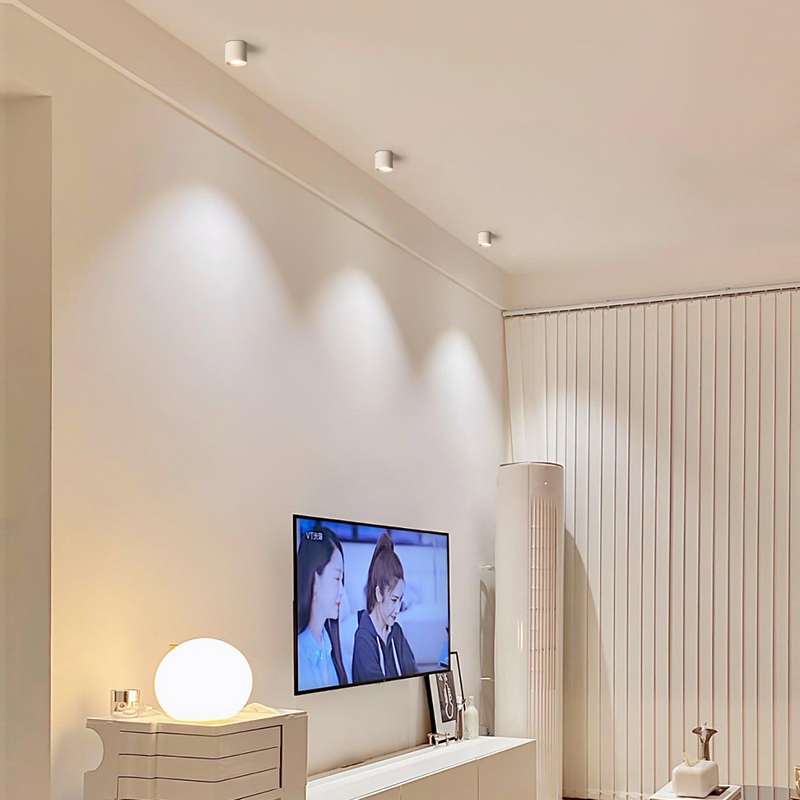 Metal Ceiling Light 3.1 in x 3.3 in White Indoor Modern Flush Mount LED Fixture Warm Neutral Cool | Thomler