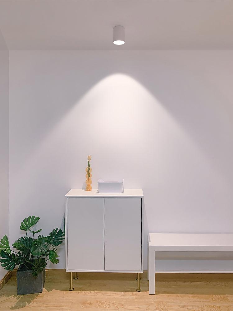 Metal Ceiling Light 3.1 in x 3.3 in White Indoor Modern Flush Mount LED Fixture Warm Neutral Cool | Thomler