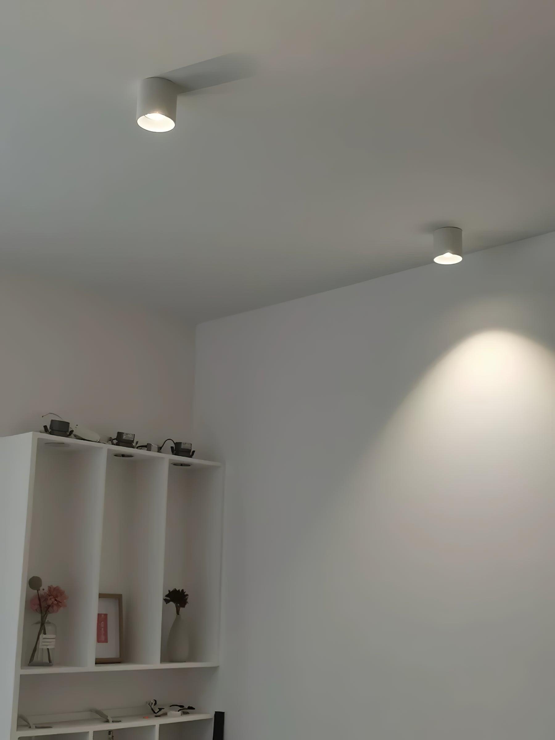 Metal Ceiling Light 3.1 in x 3.3 in White Indoor Modern Flush Mount LED Fixture Warm Neutral Cool | Thomler