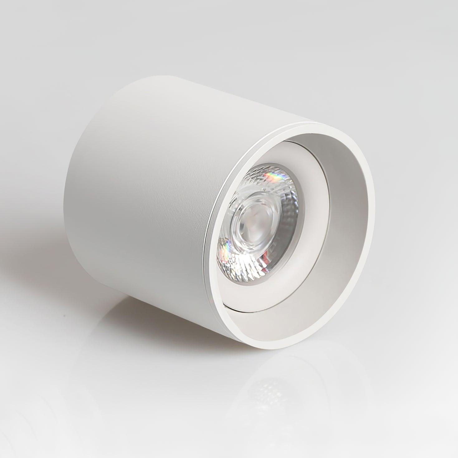 Metal Ceiling Light 3.1 in x 3.3 in White Indoor Modern Flush Mount LED Fixture Warm Neutral Cool | Thomler