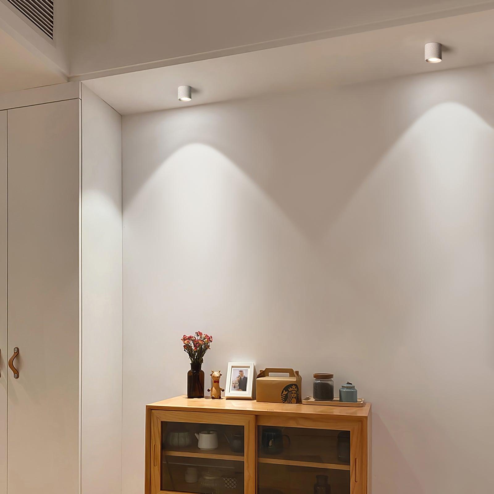 Metal Ceiling Light 3.1 in x 3.3 in White Indoor Modern Flush Mount LED Fixture Warm Neutral Cool | Thomler