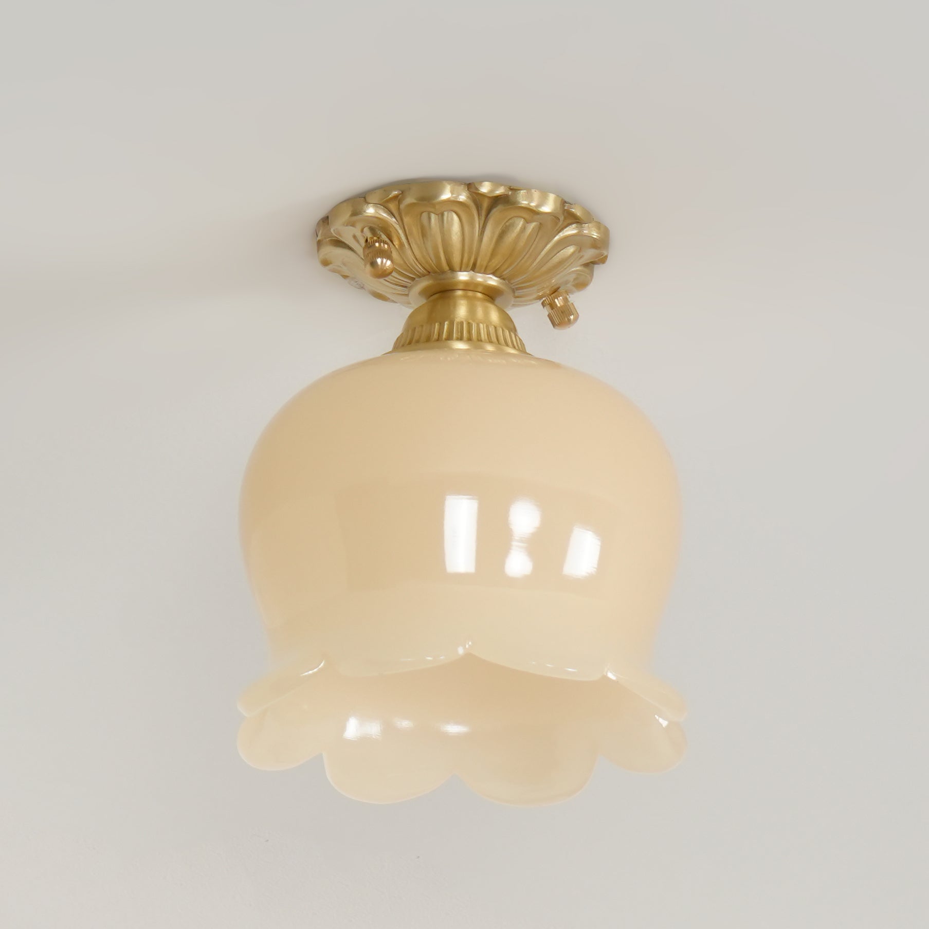 Ceiling Light Resin Brass 5.9 in Indoor Warm Lighting | Thomler