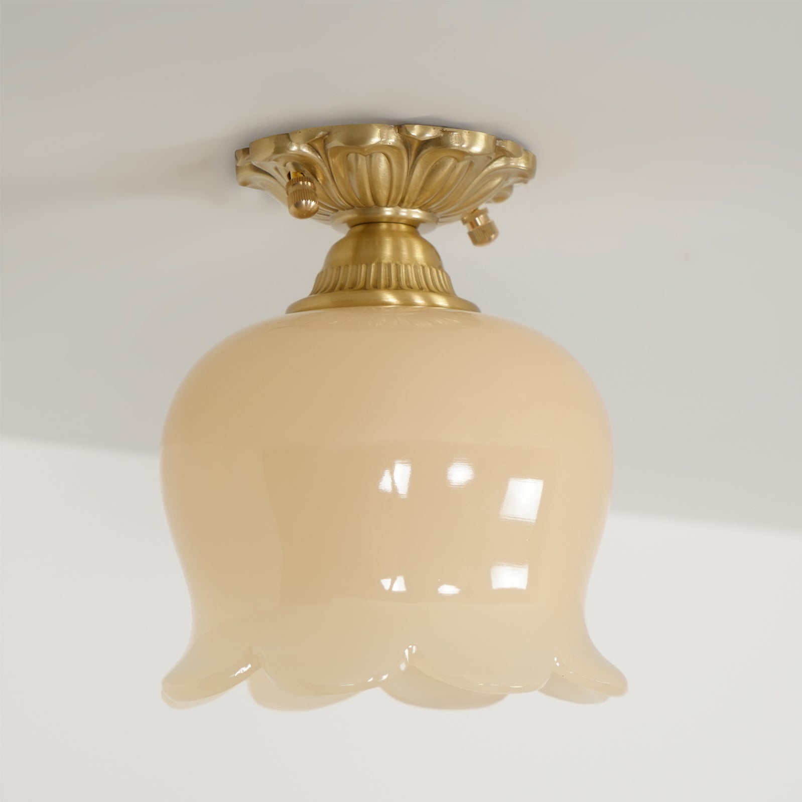 Ceiling Light Resin Brass 5.9 in Indoor Warm Lighting | Thomler