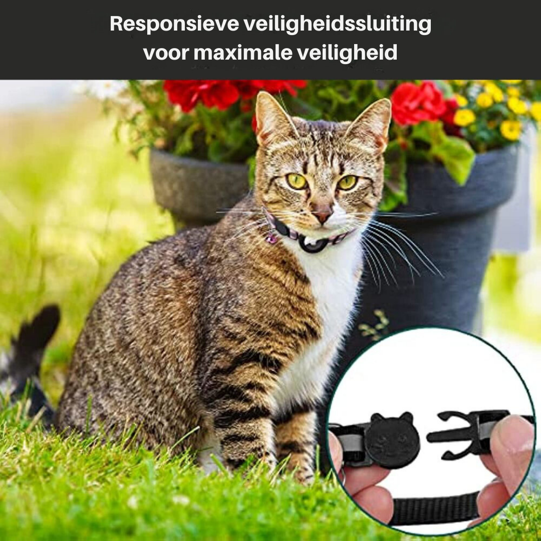 Adjustable Cat Collar with Reflective Stitching, Breakaway Buckle & Tracker Pocket for Indoor Outdoor Cats | Thomler